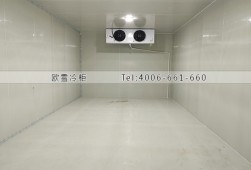 冷藏冷庫-湖南邵陽農產品儲存冷庫安裝